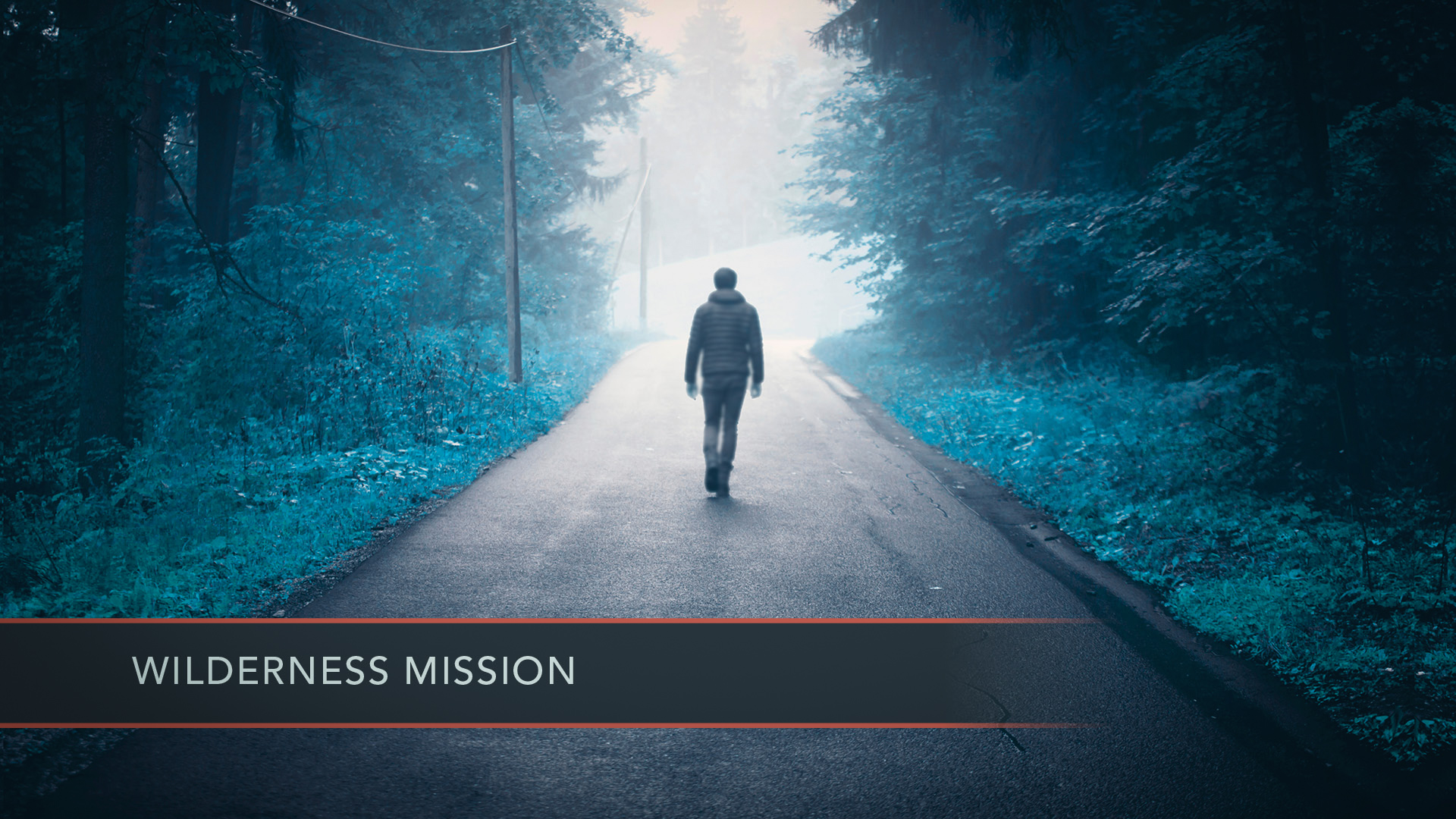 The Wilderness Mission